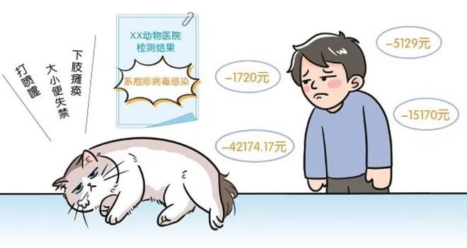 3萬買貓后續(xù)治療費6萬法院判了！(圖3)