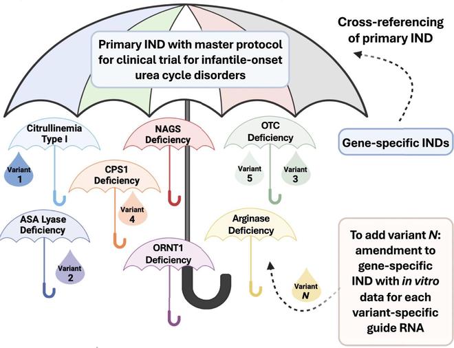 美國基因編輯療法邁入“快車道”為罕見病定制藥研發(fā)開綠燈(圖2)