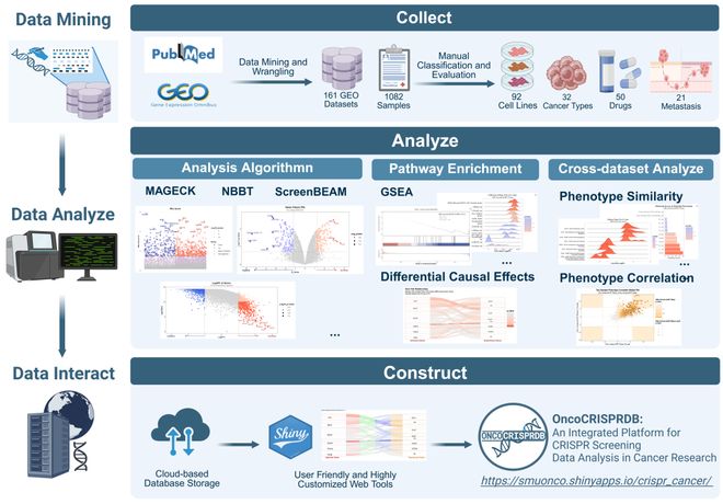 腫瘤CRISPRScreen在線平臺(tái)！重磅推薦！(圖3)